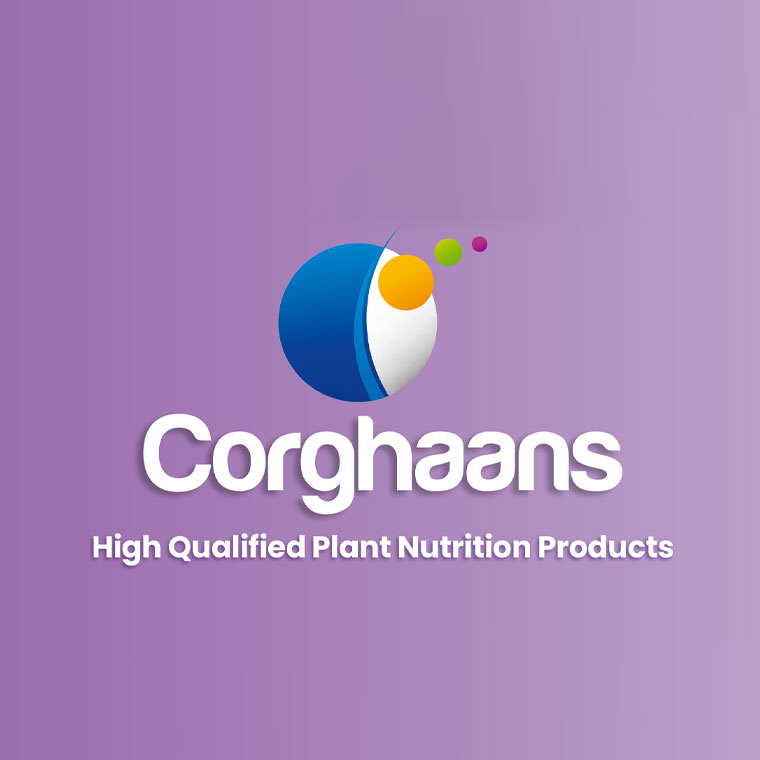Corghaans